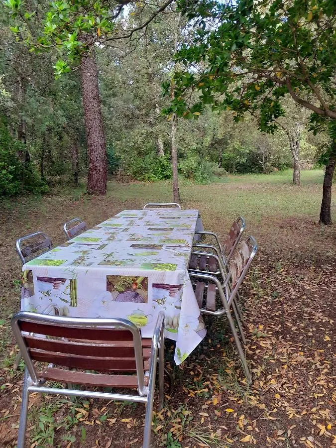Domaine D'Avalon Guest House Lorgues Country house